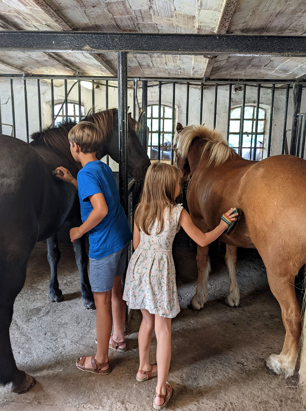 Fuglsang Reitschule Erfahrung