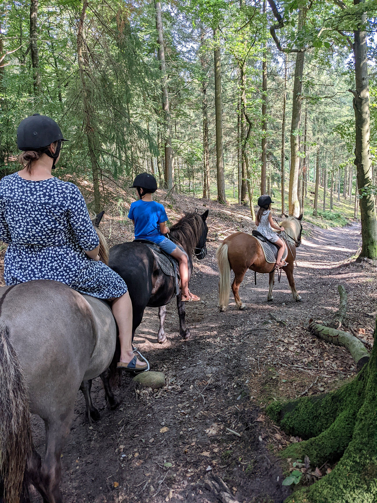 Fuglsang Rideture Erfahrung