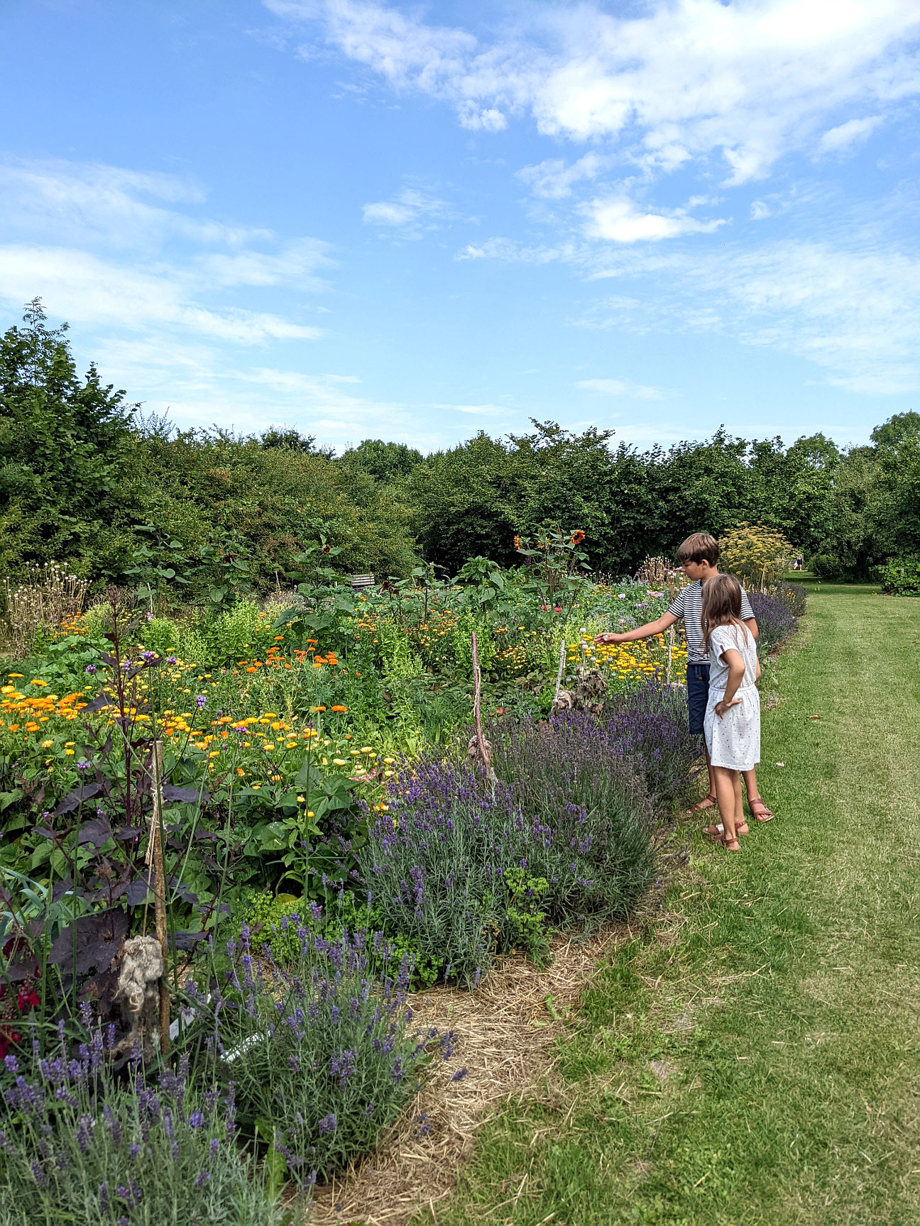 Garten der Ökologie Odder Kystlandet