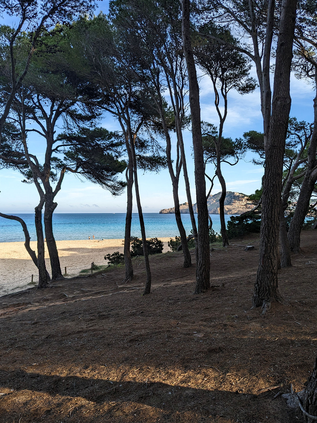 Cala Agulla Mallorca