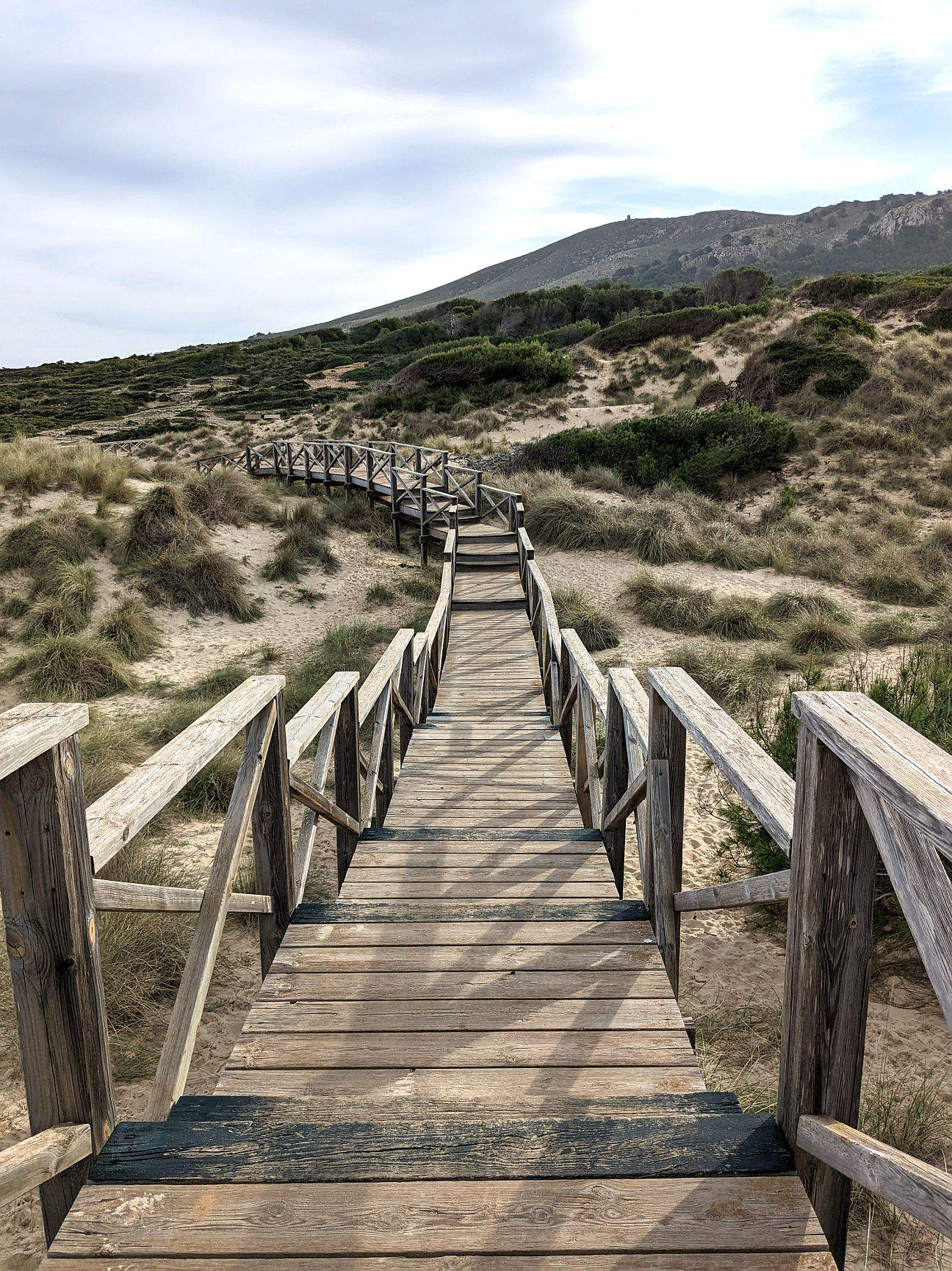 Mallorca Dünen Naturschutz