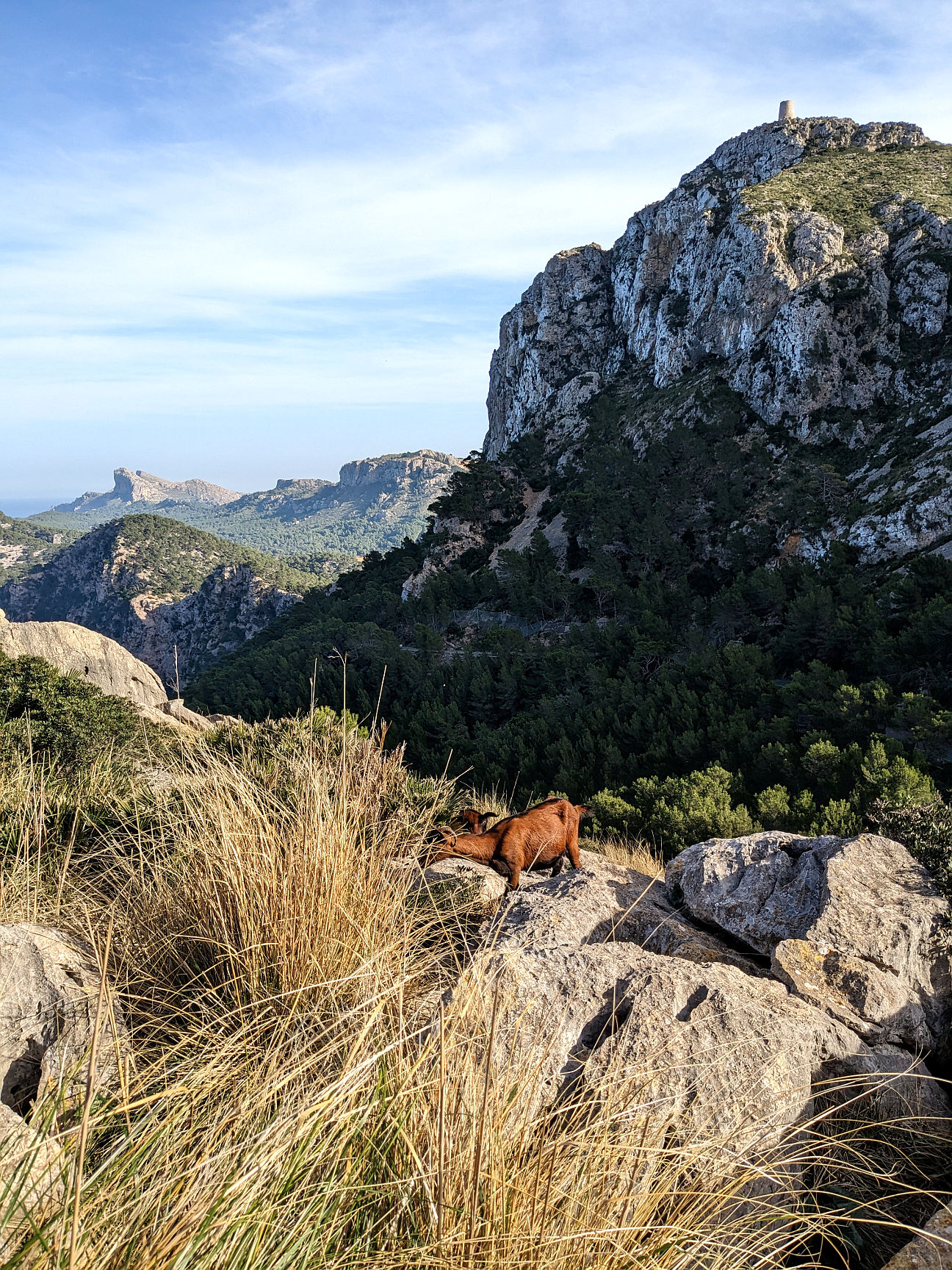 Mallorca Landschaft