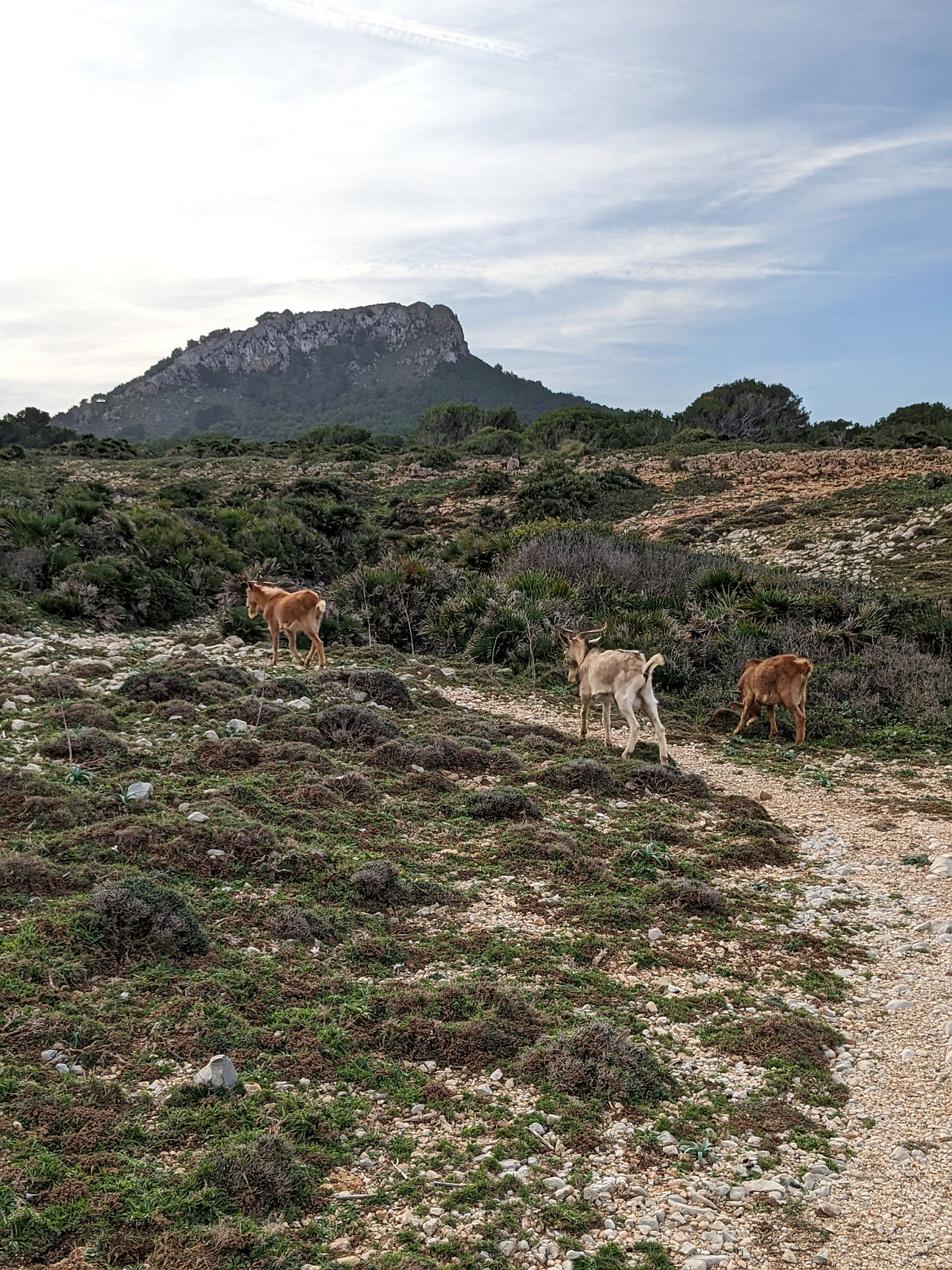 Mallorca Wanderrouten Ostküste