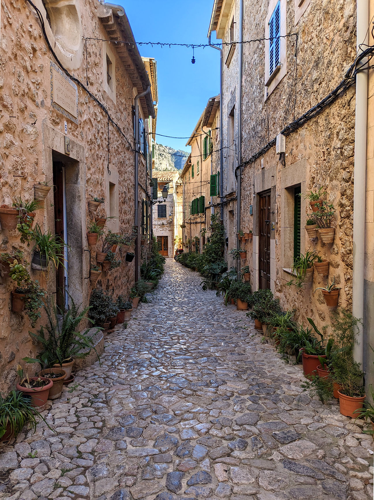 Valldemossa Highlights