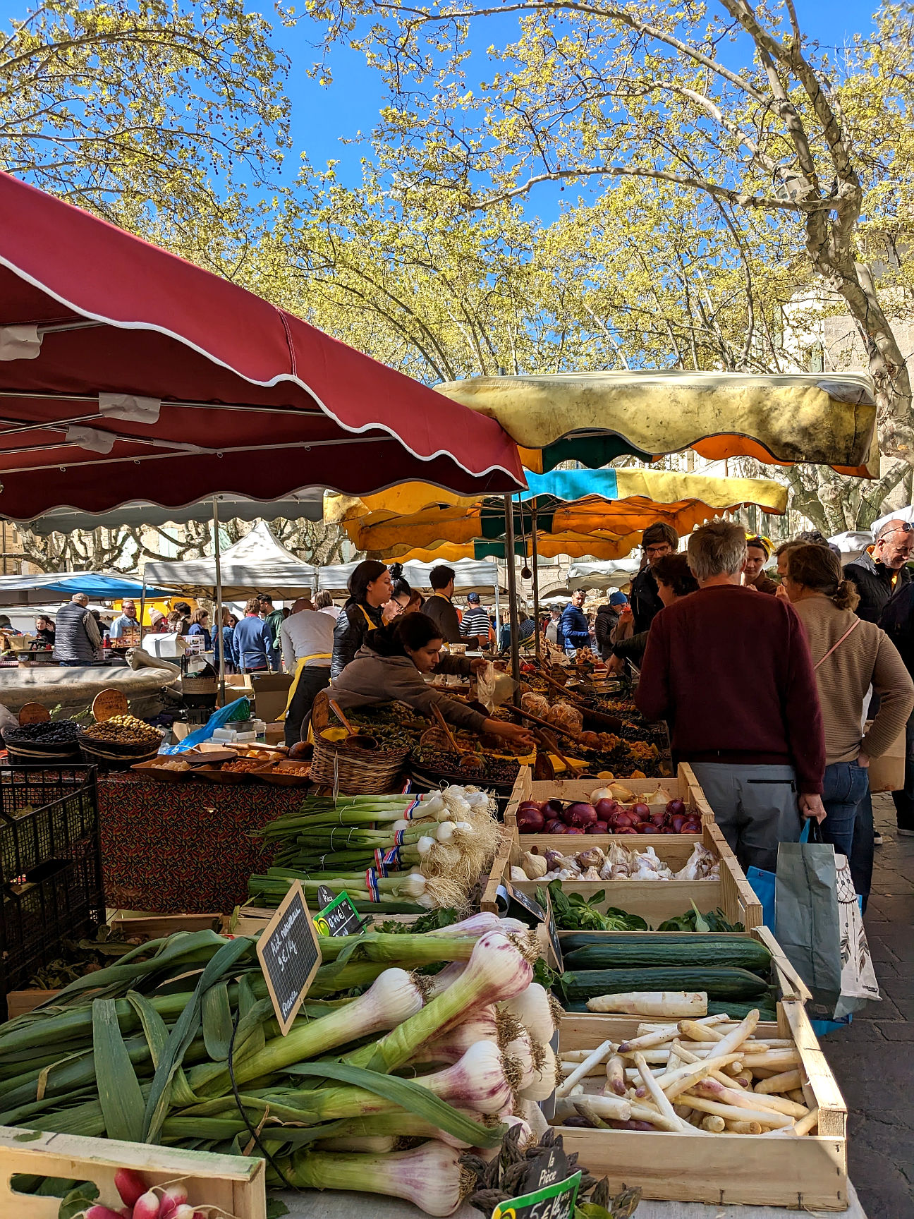 Märkte Provence was sollte man wissen