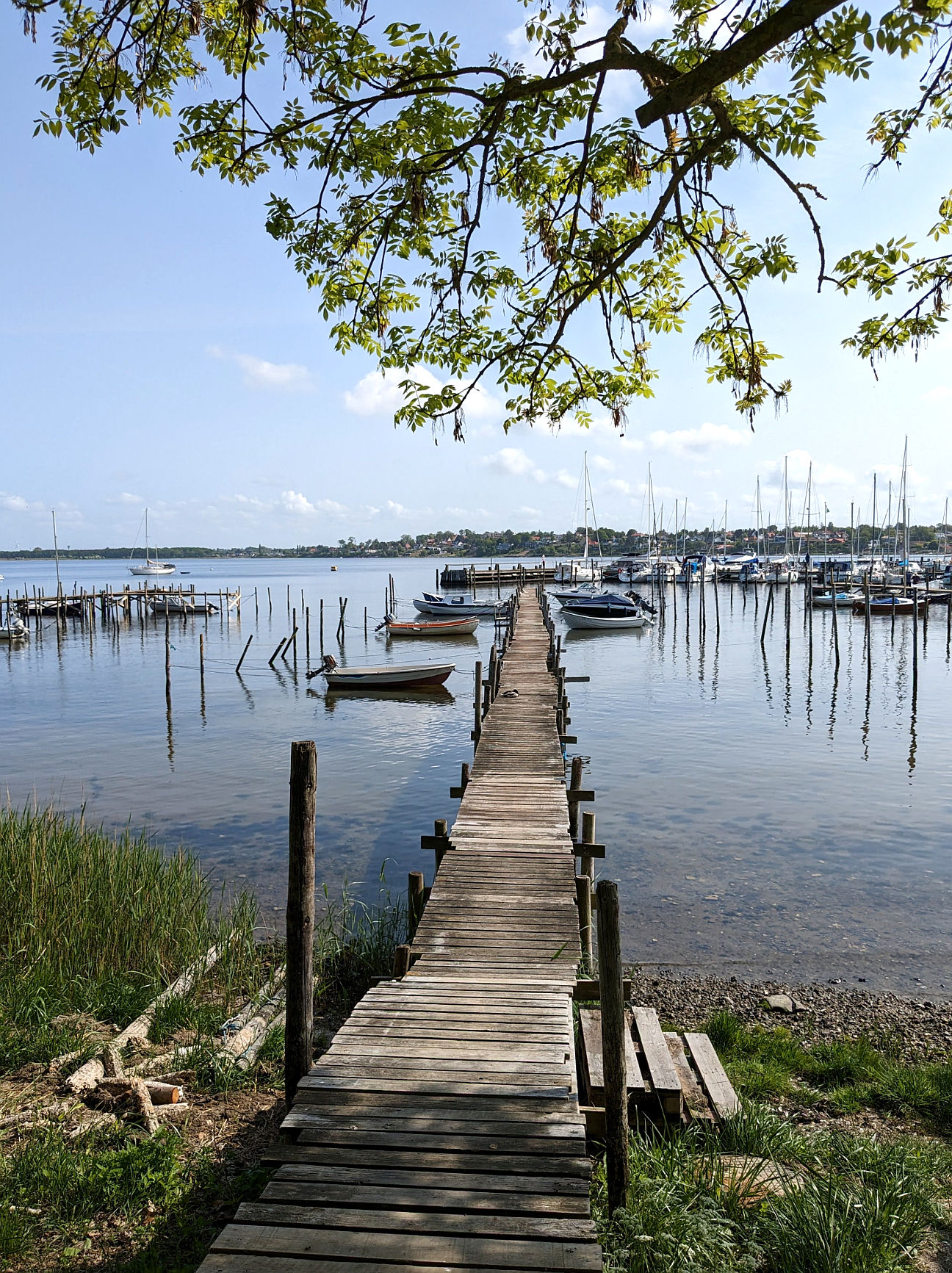 Fjordlandet Dänemark Urlaub