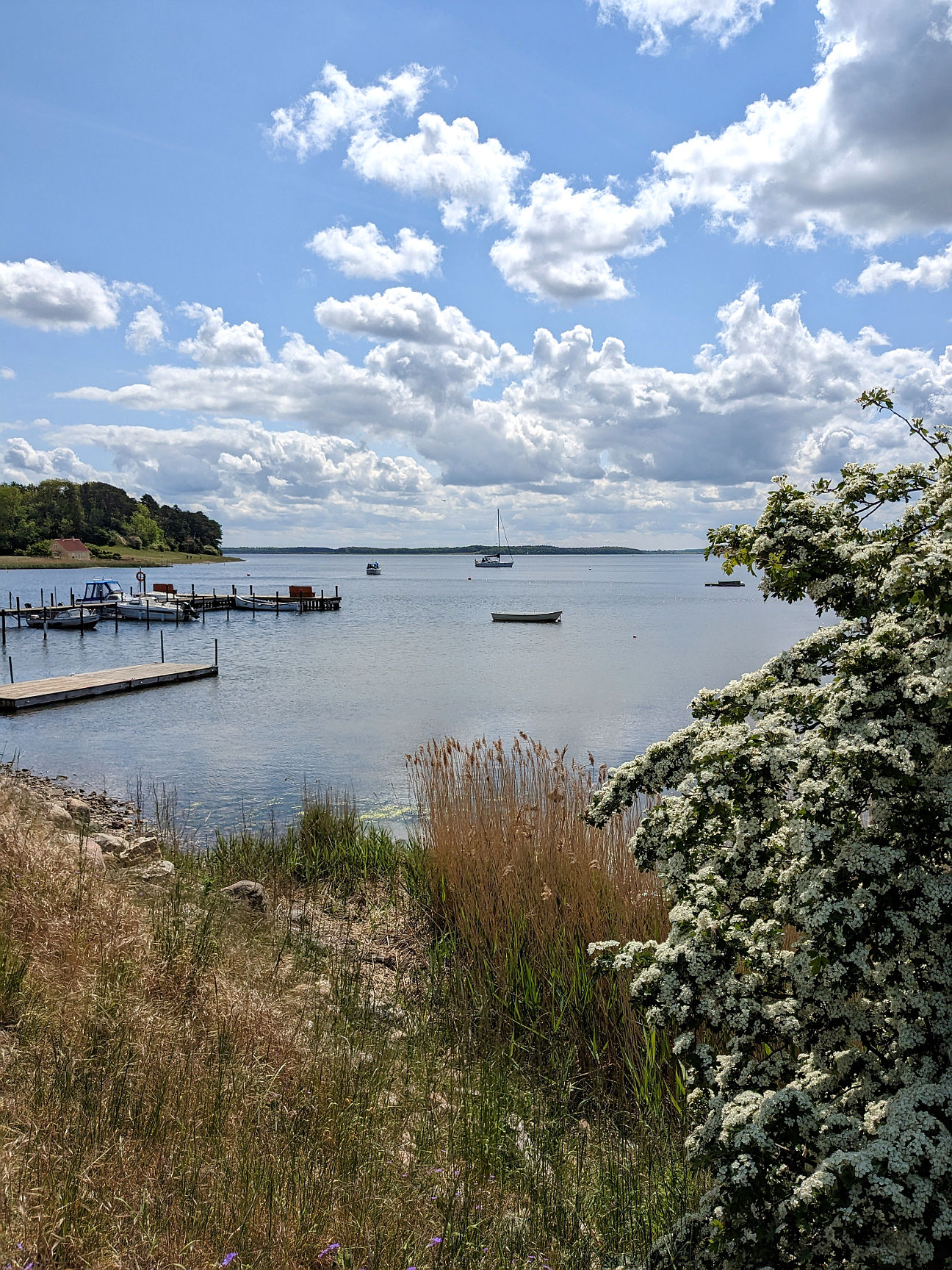 dänisches Fjordland