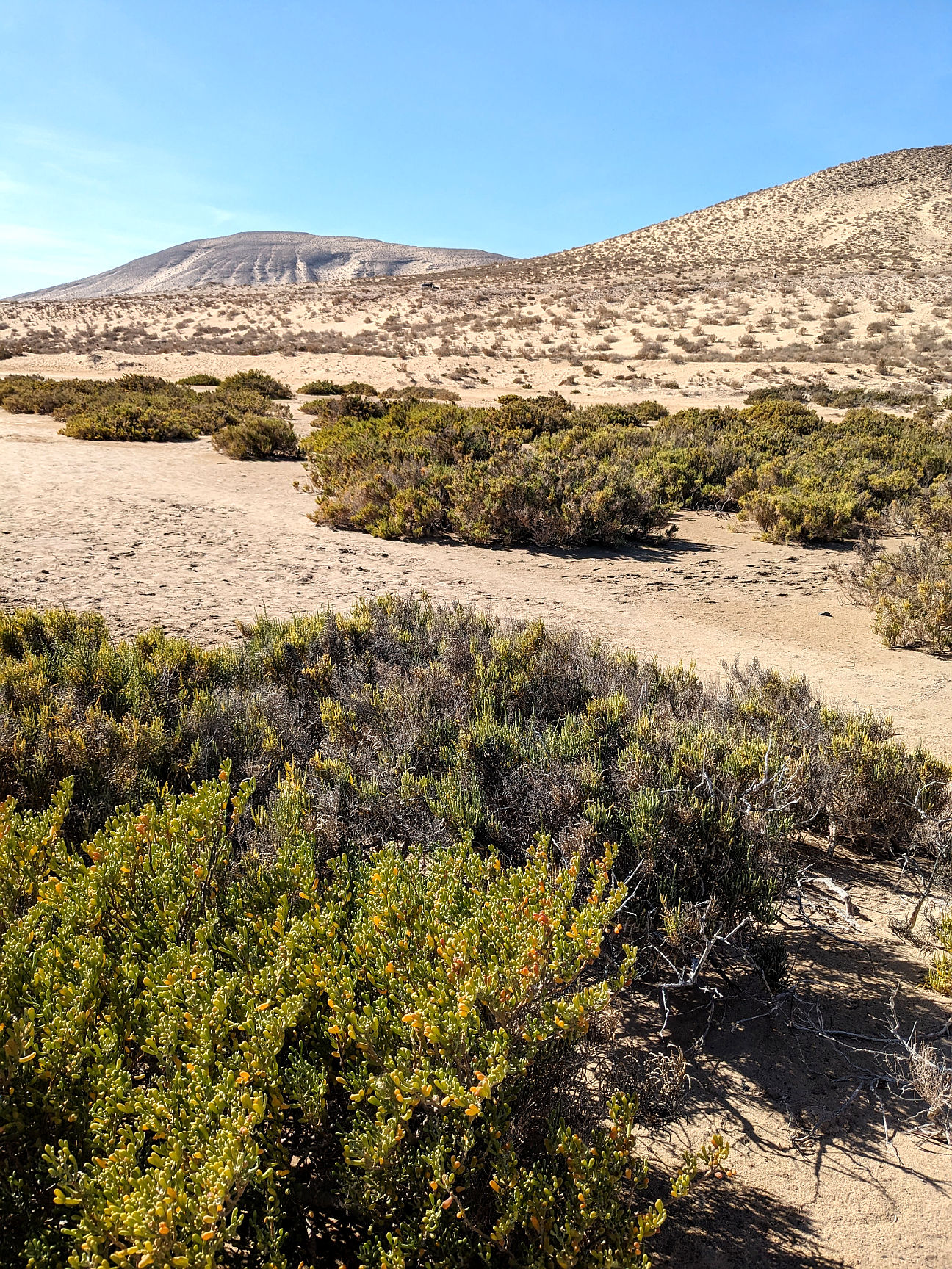 Fuerteventura Landschaft