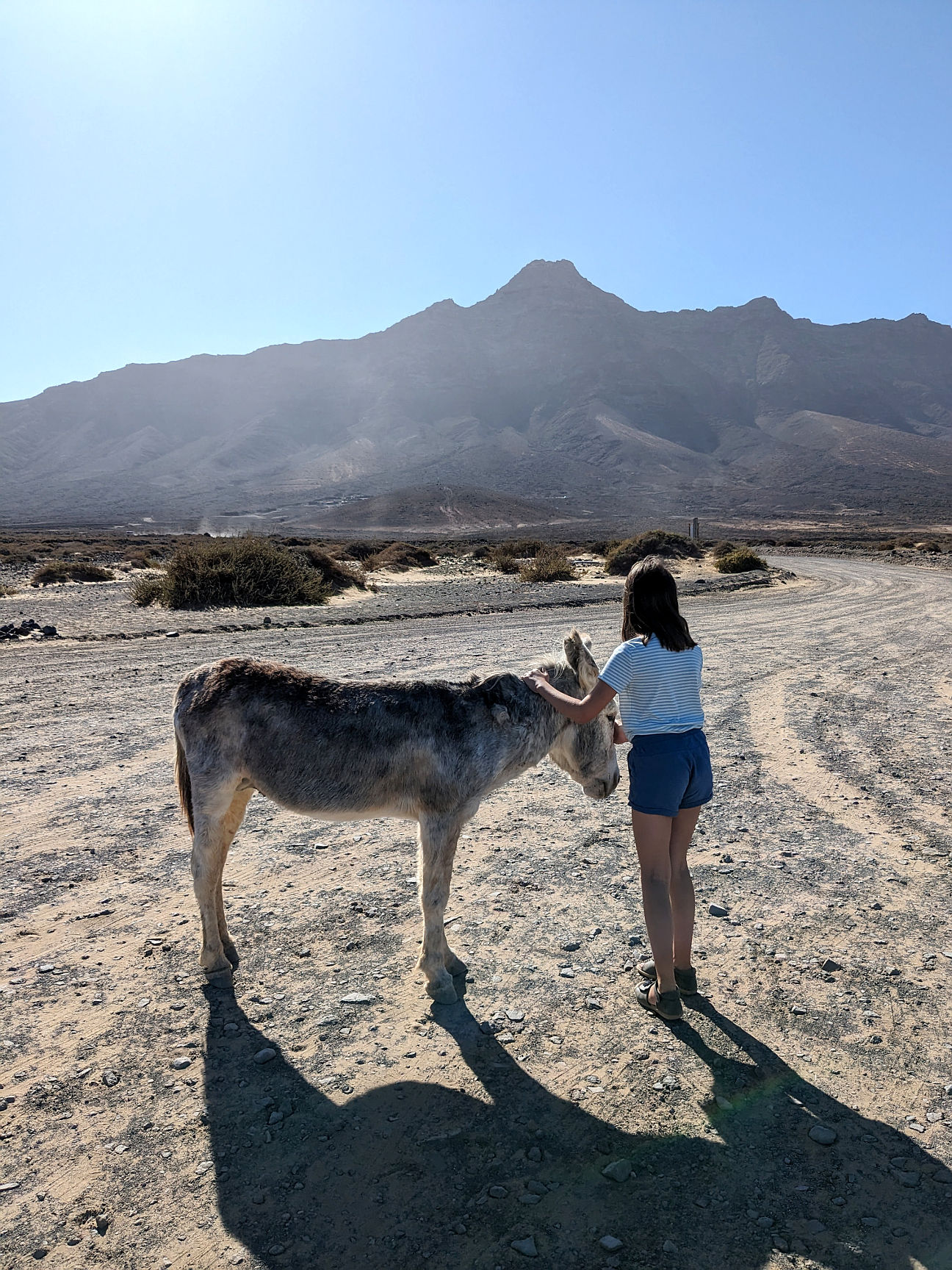 Fuerteventura Natur