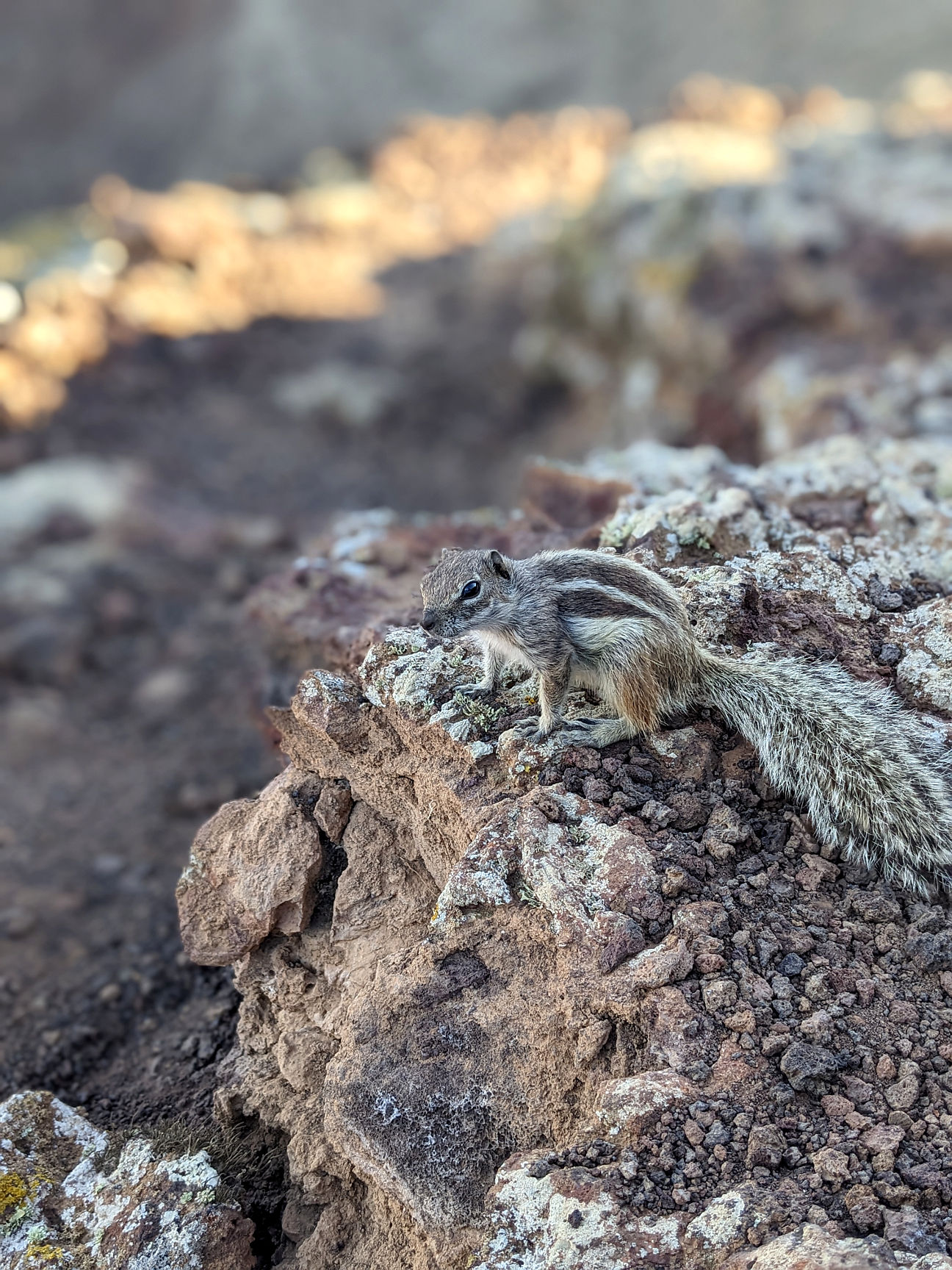 Fuerteventura Wandern