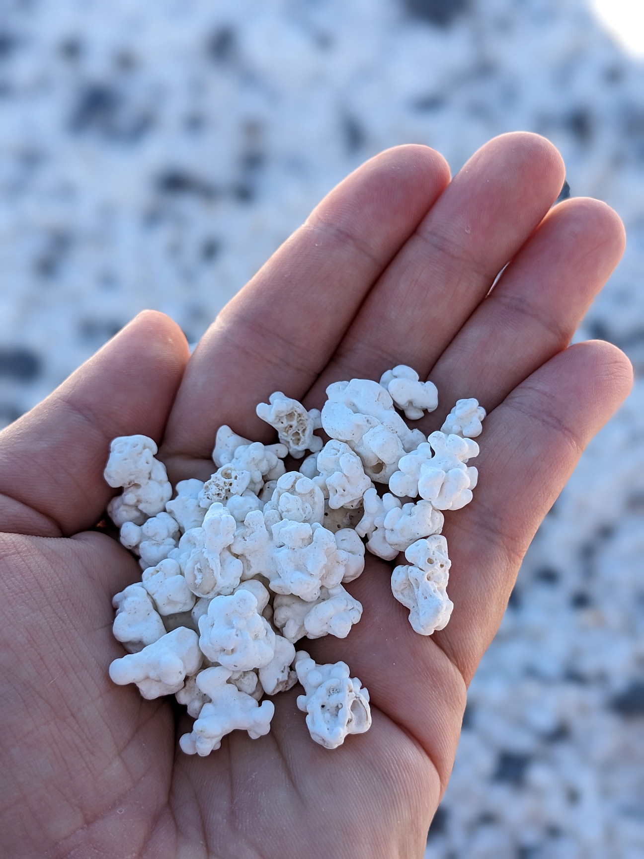 Popcorn Strand Fuerteventura
