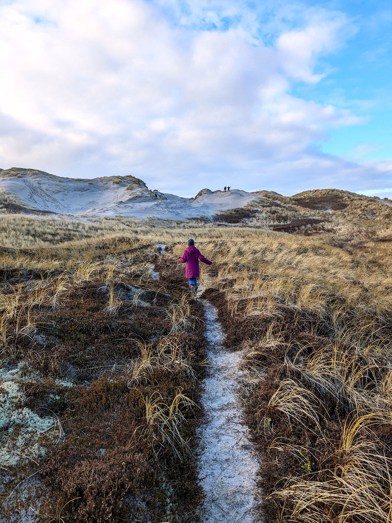 Daenemark Duenenlandschaft