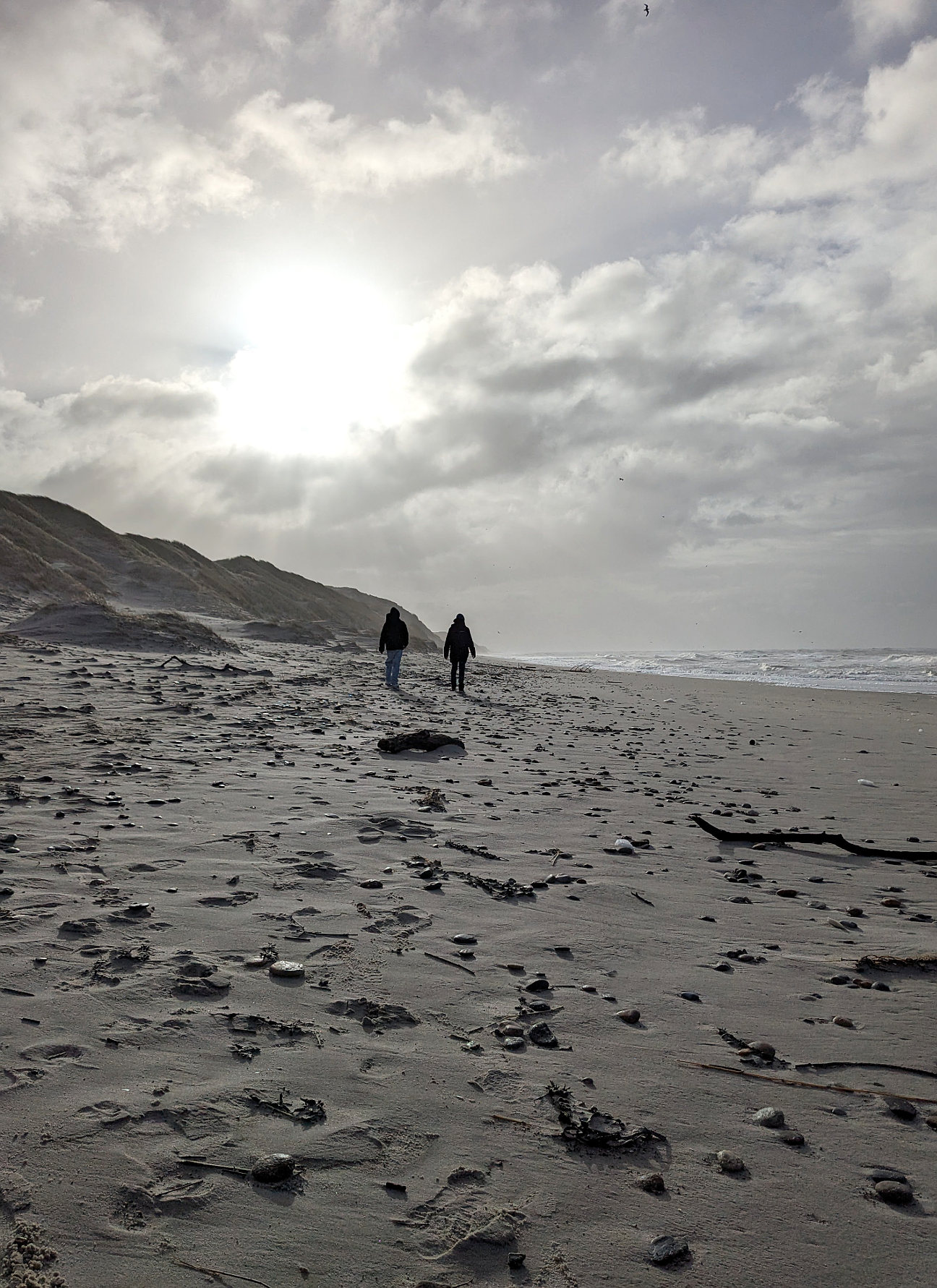 Daenemark Strandspaziergang