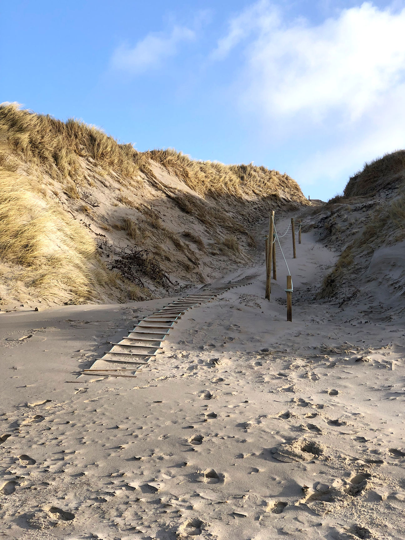 Strand Bjerregaard