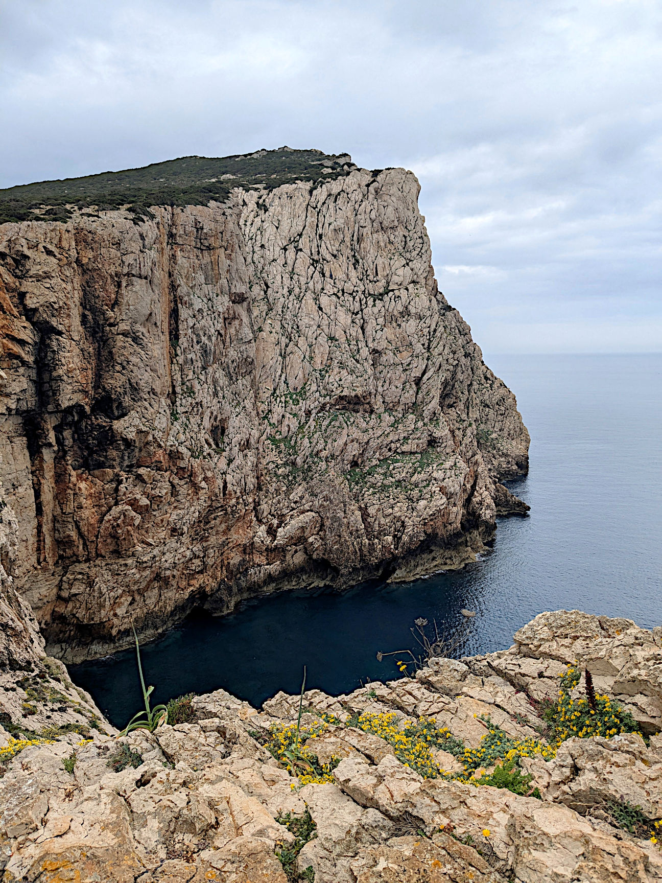 Capo Caccia Sardinien