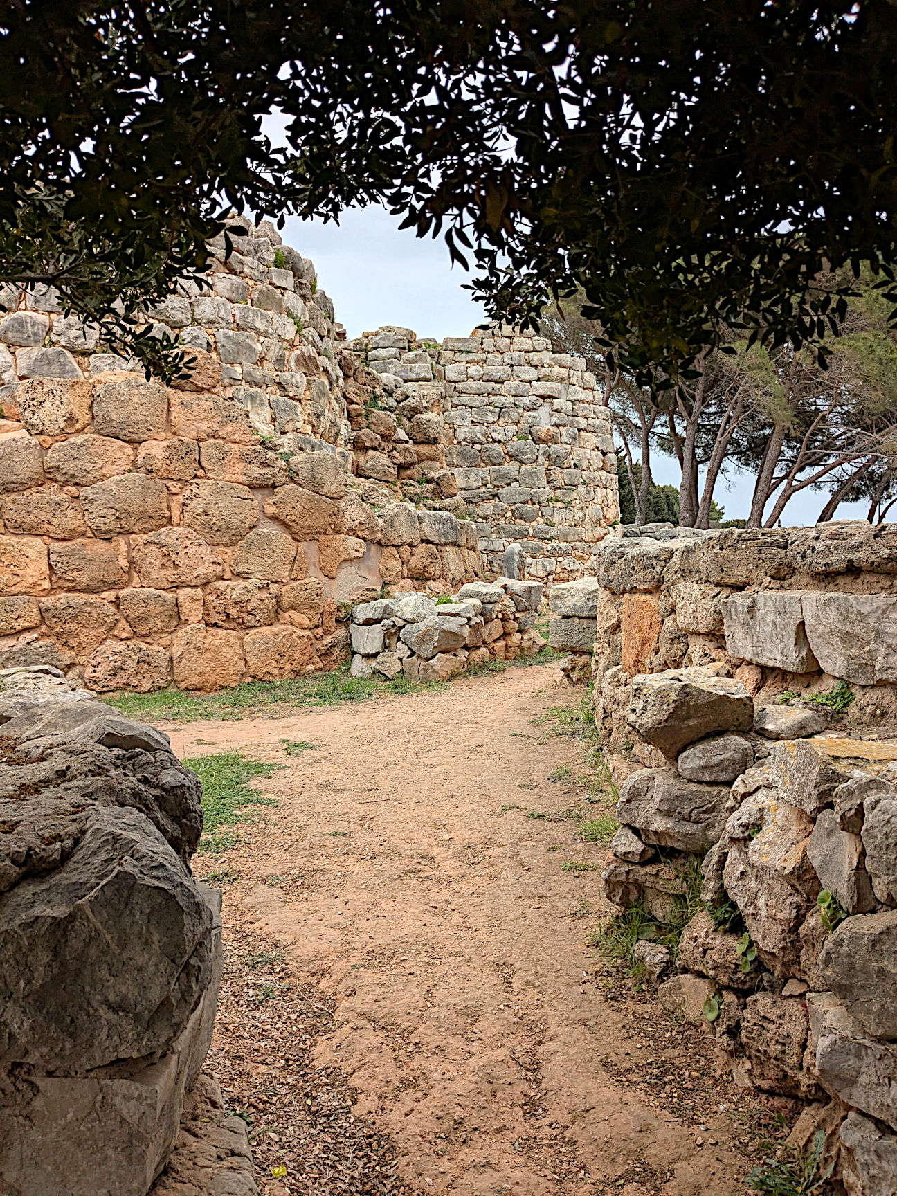 Nuraghe Palmavera Sardinien