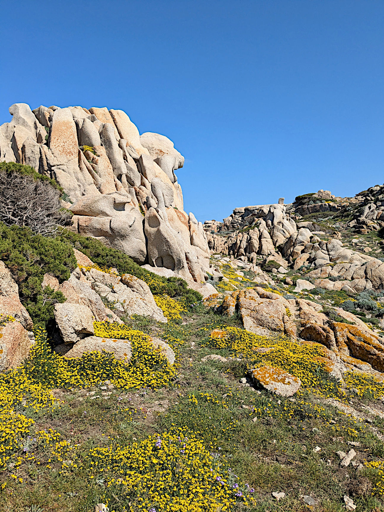 Sardinien Must See