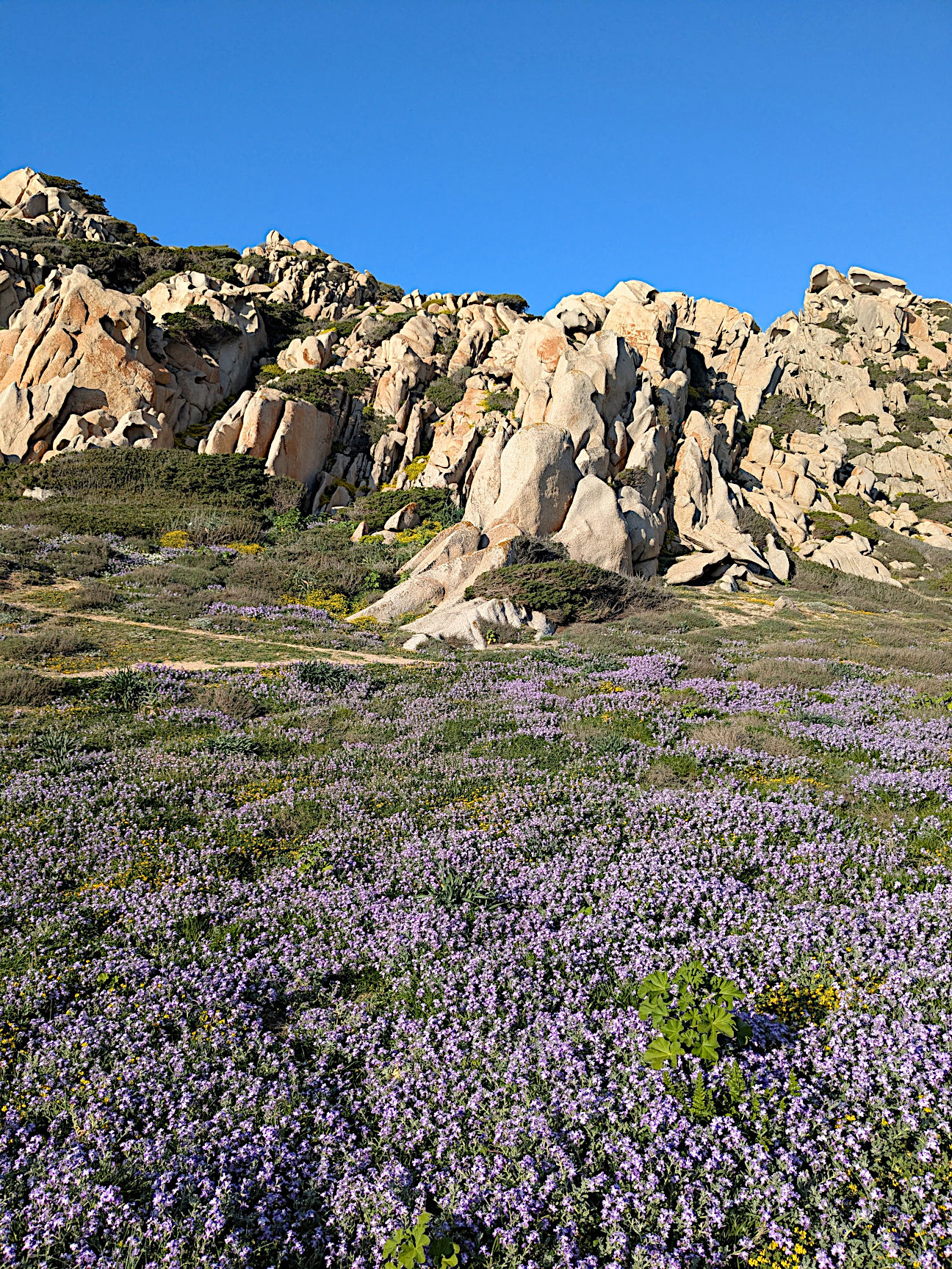 Sardinien Natur Frühling