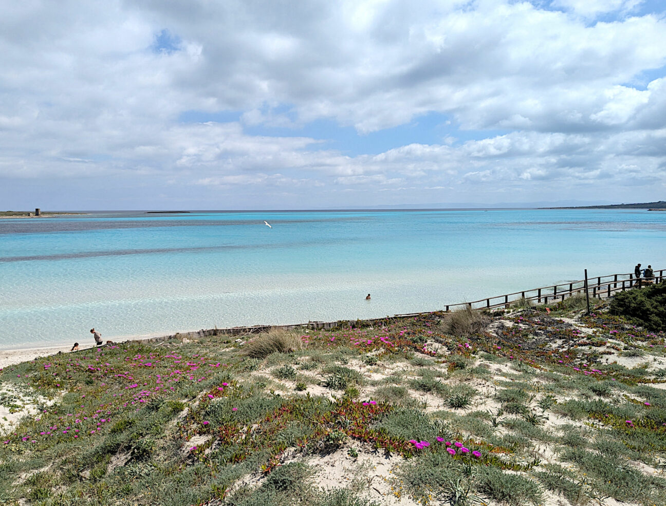 schönster Strand auf Sardinien La Pelosa