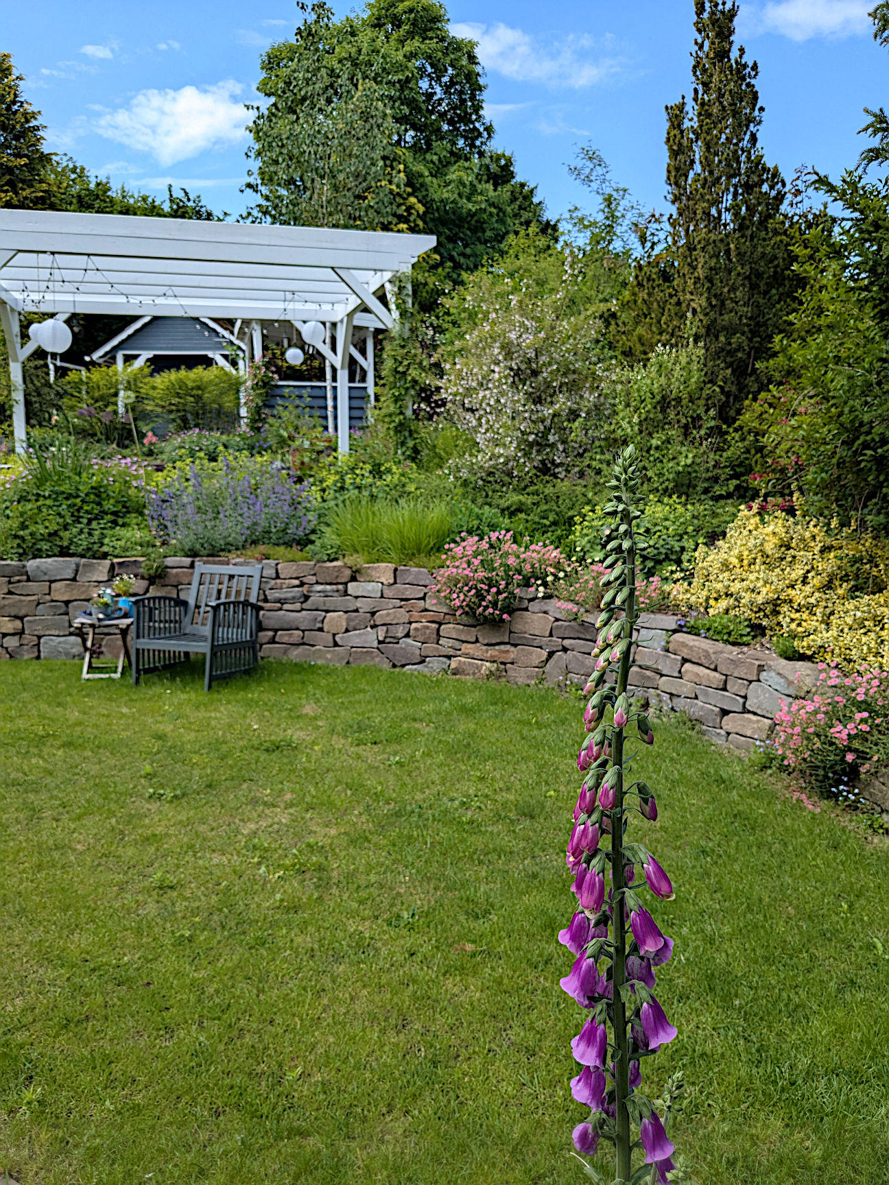 natürlicher Sichtschutz Garten