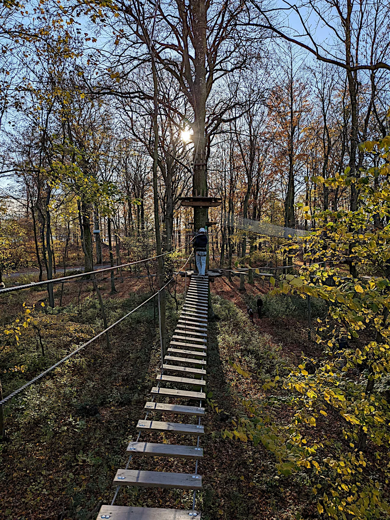 Schloss Gavnø Kletterpark GoFly
