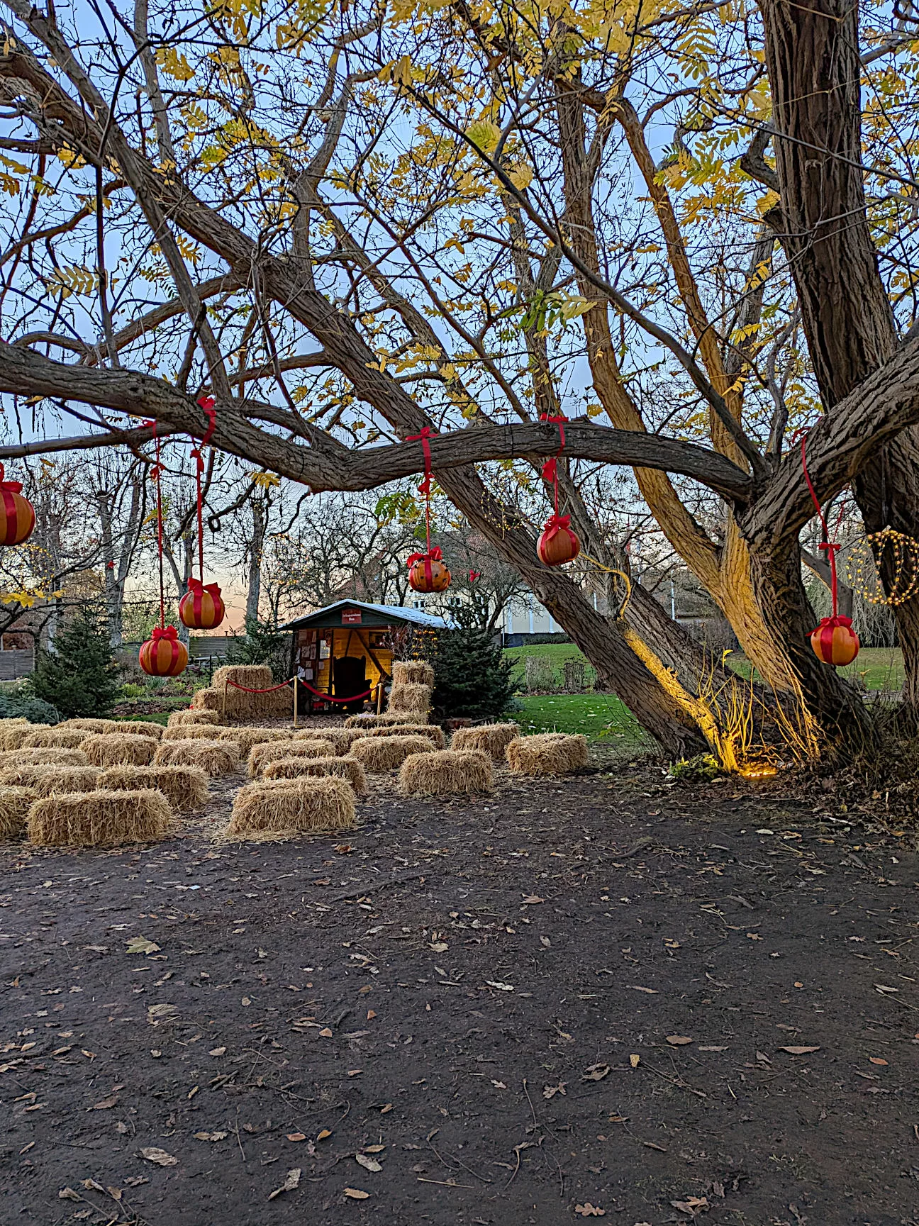 Schloss Gavnø Weihnachtsmarkt Erfahrungen