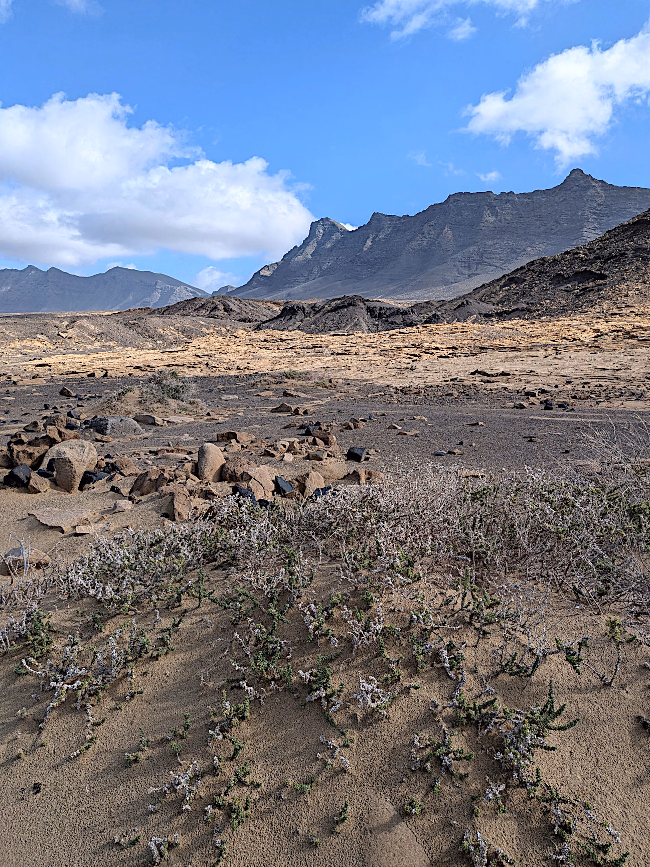 Ausflugsziele Fuerteventura Cofete Strand