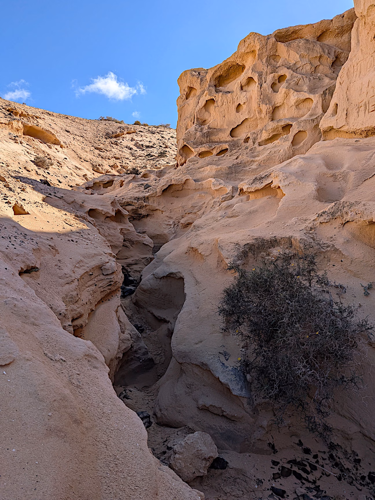 Fuerteventura Wandern Barranco