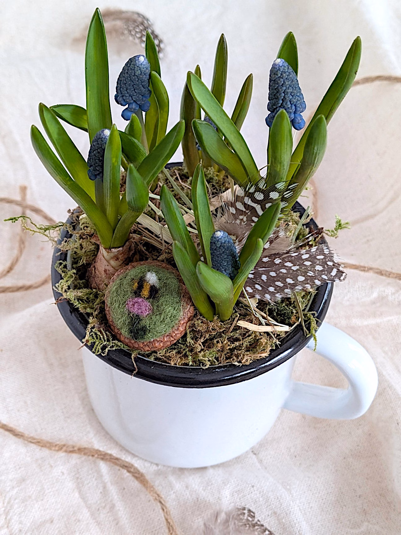 Eichelhütchen Filzbilder Anleitung