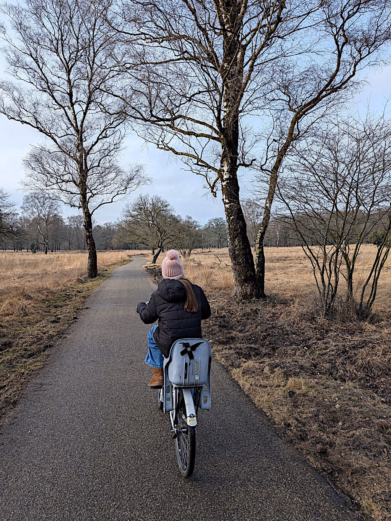 Nationalpark De Hoge Veleuwe Niederlande