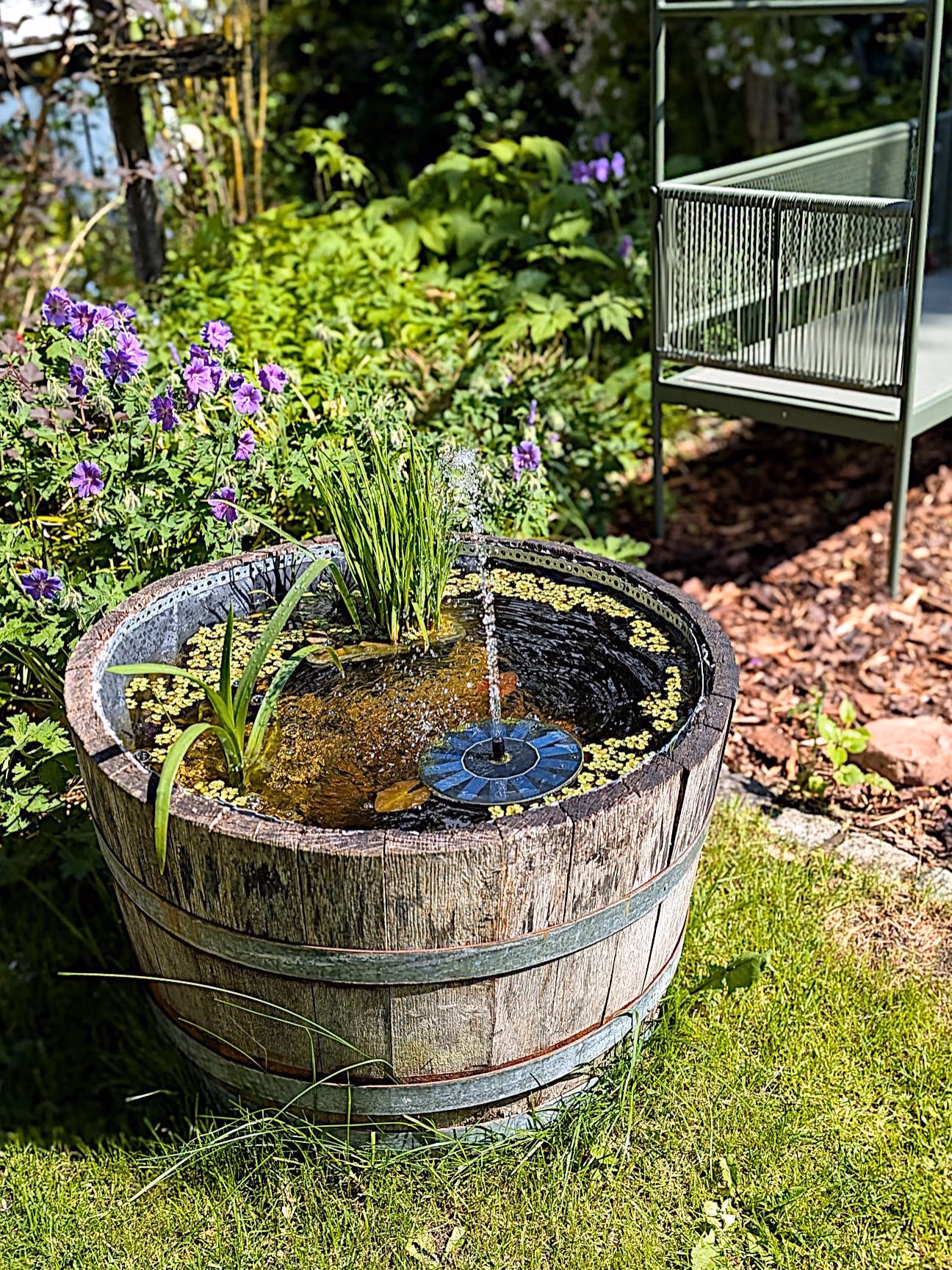 Holzfass Miniteich anlegen Garten