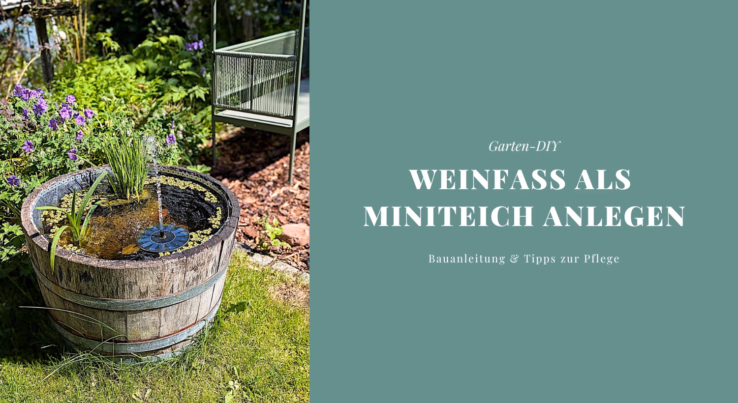 Garten-DIY: Weinfass als Miniteich anlegen