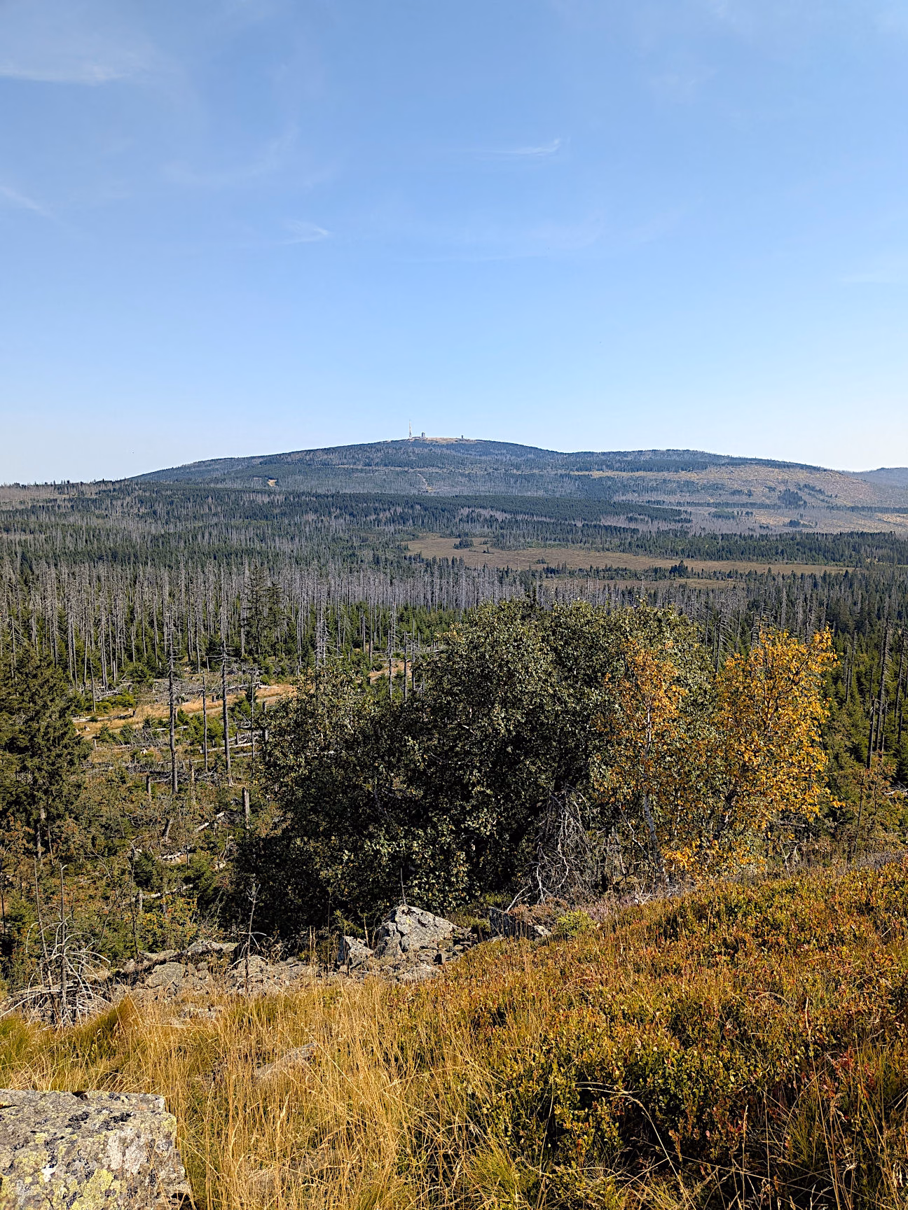 Harz Wanderungen Achtermann