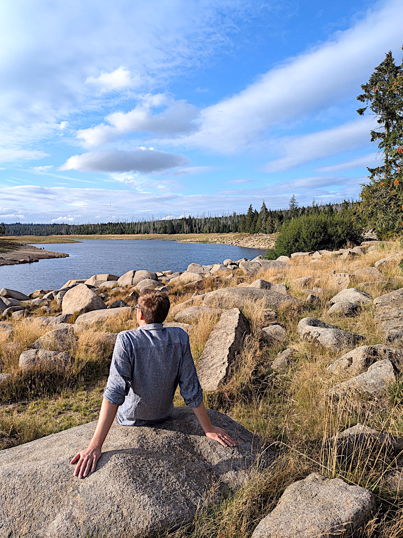Oderteich Harz