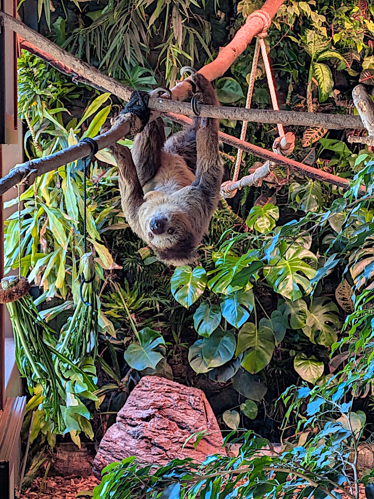 Parco Zoo Punta Verde Lignano