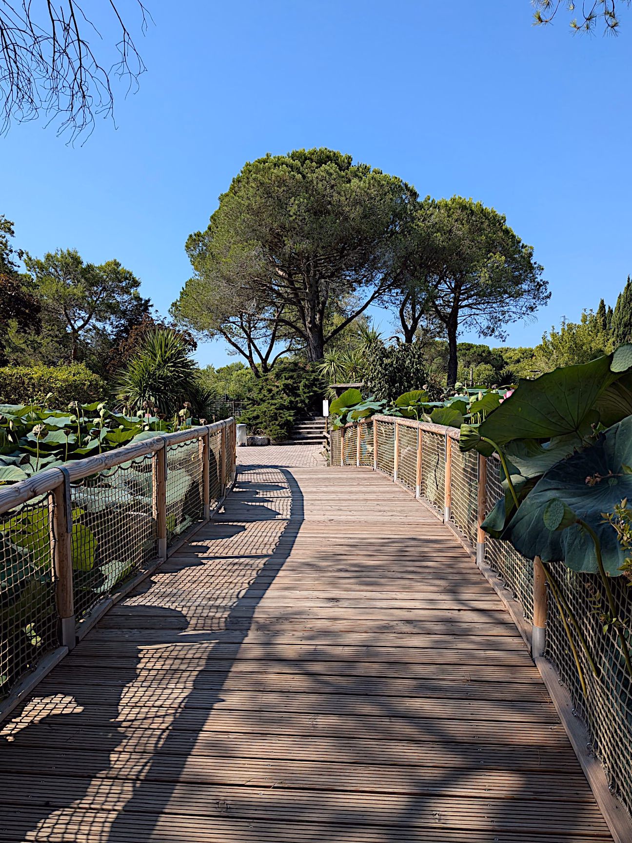 Punta Verde Zoo Lignano