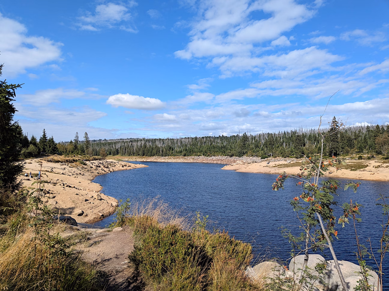 Wanderwege Harz Oderteich