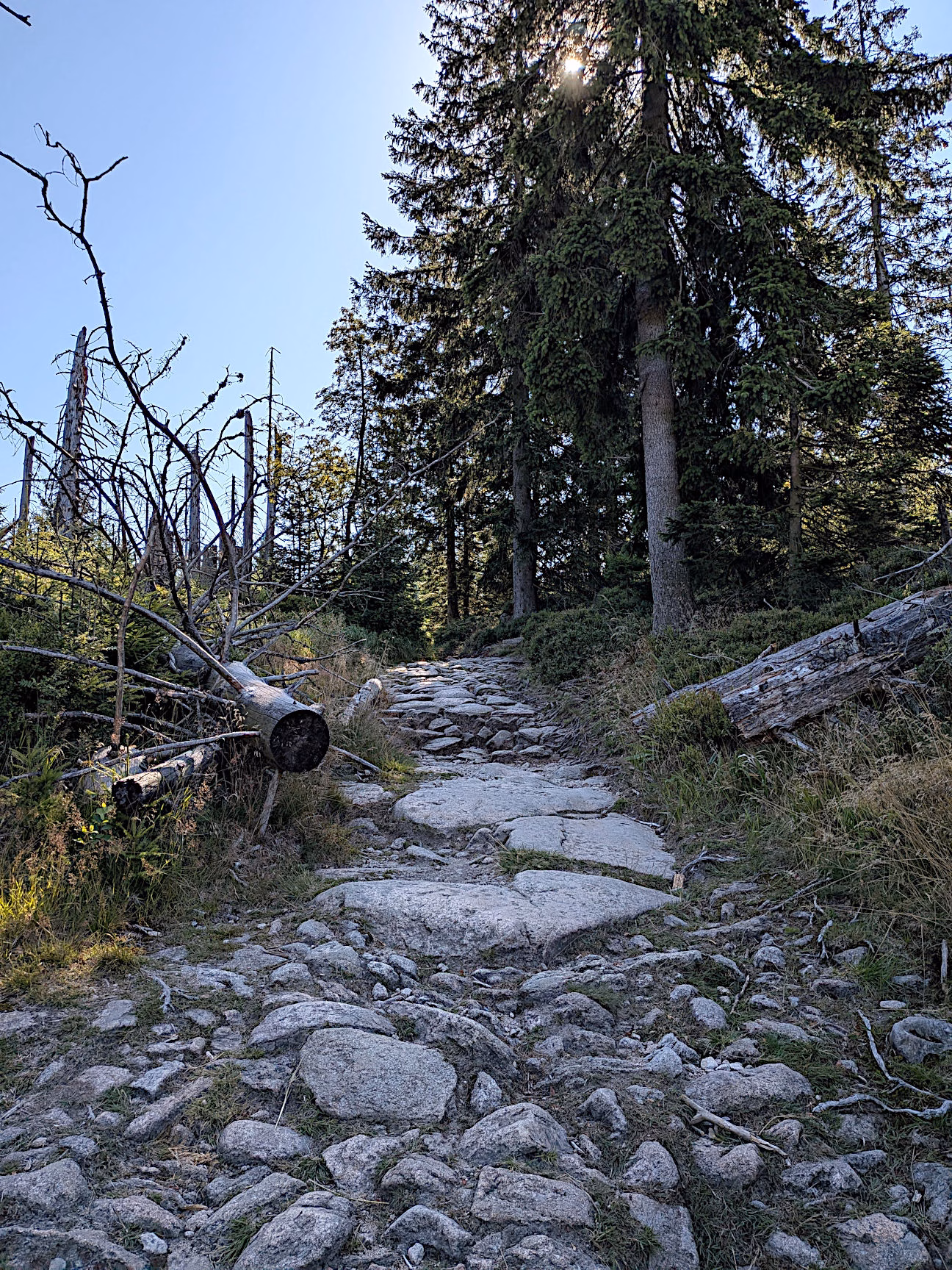 abwechslungsreiche Wanderungen Harz