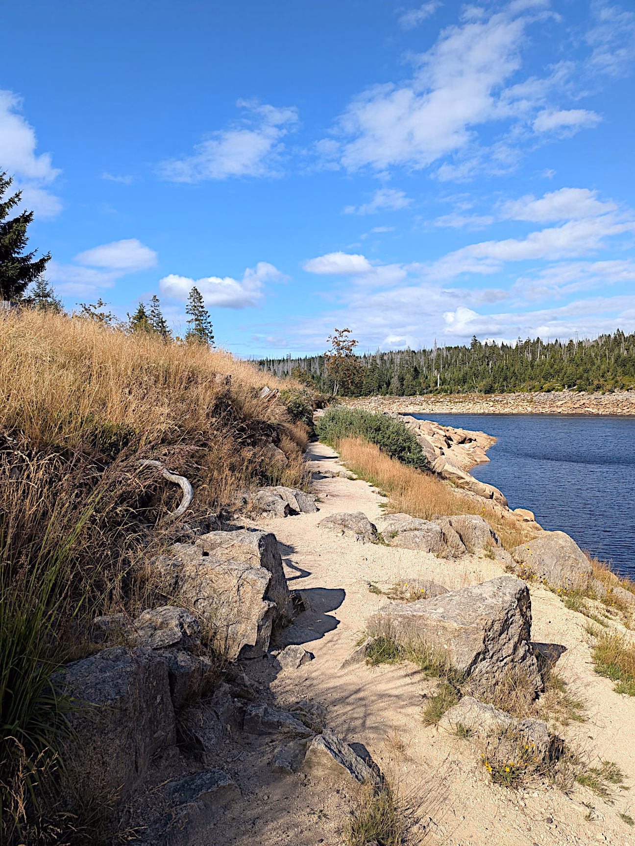 schöne Wanderwege Harz