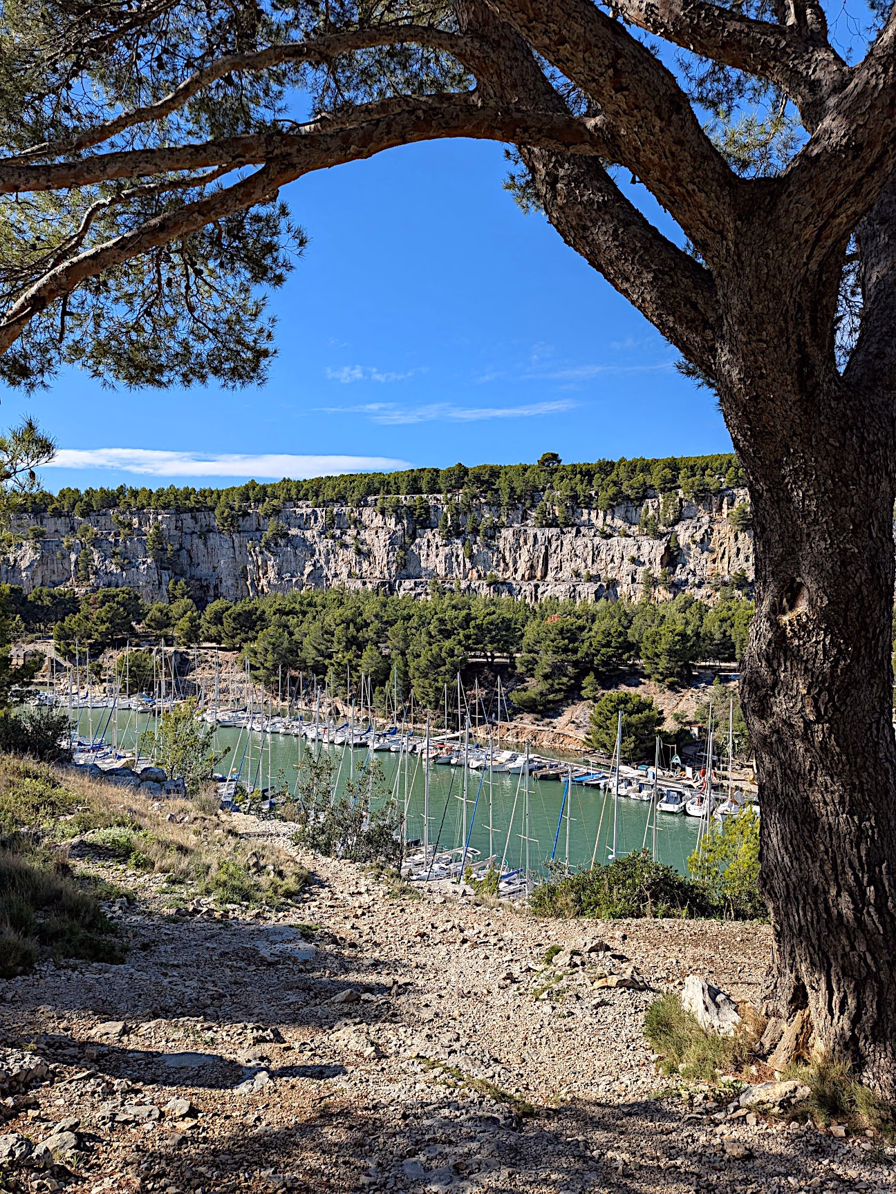 Calanque de Port-Miou Cassis