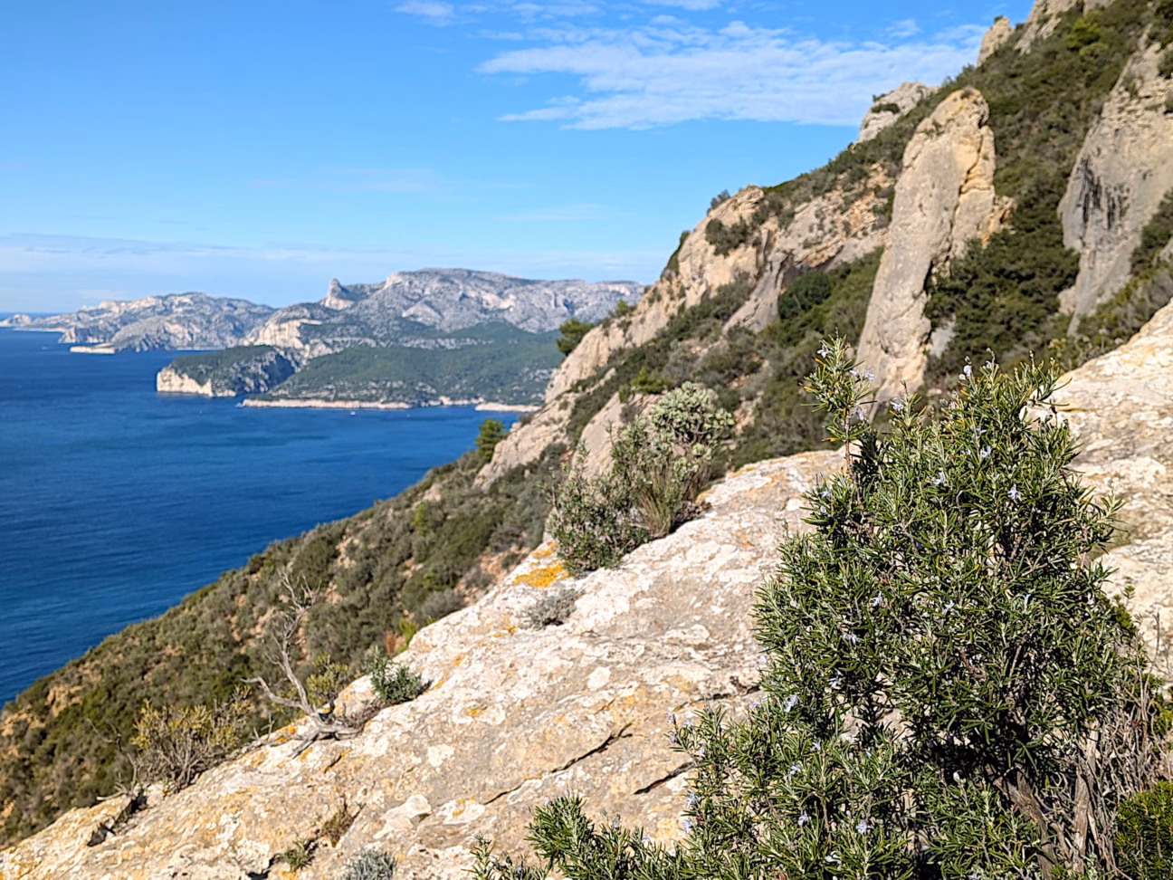 Calanques Cassis Mittelmeer