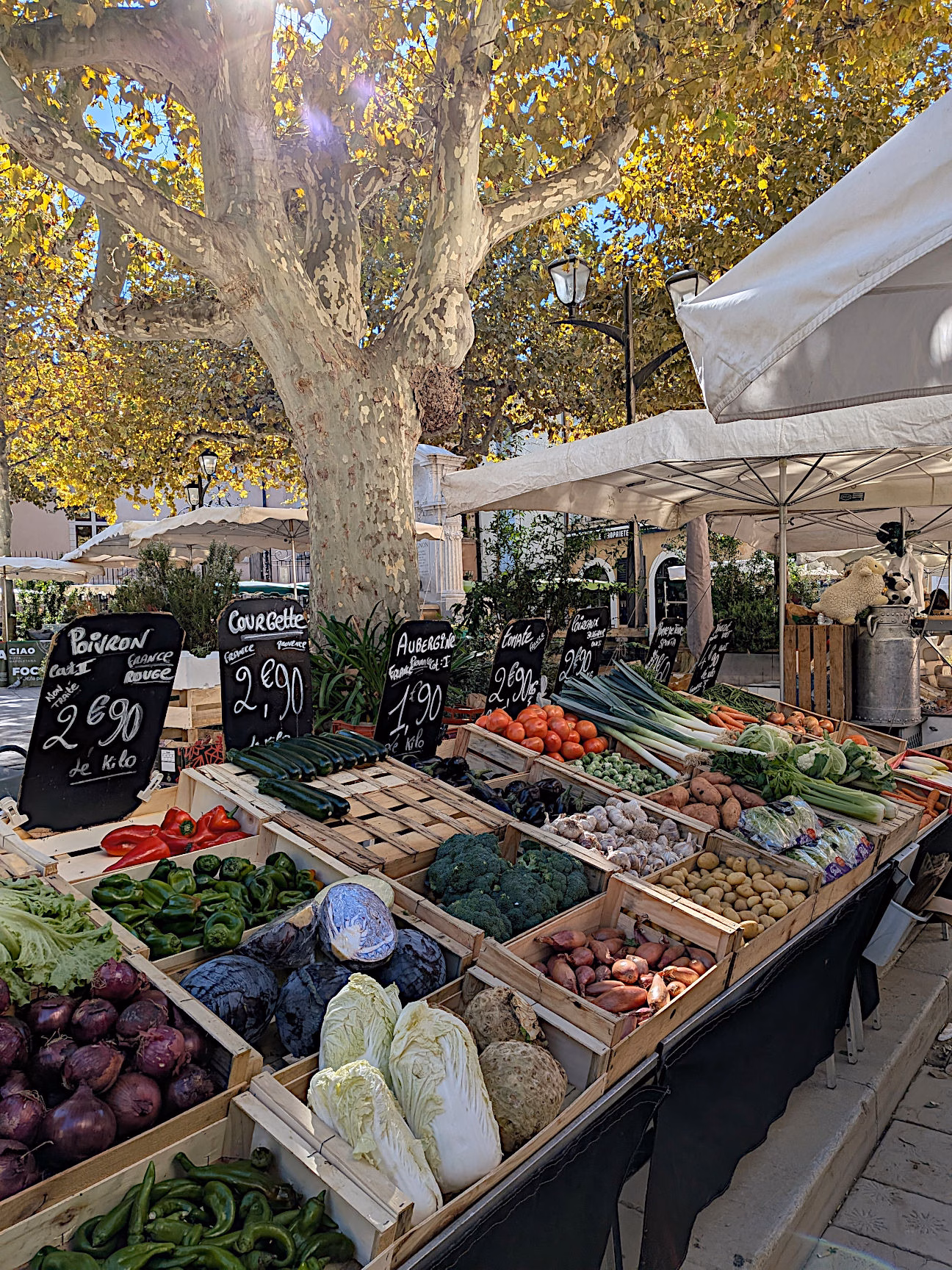 Cassis Markt