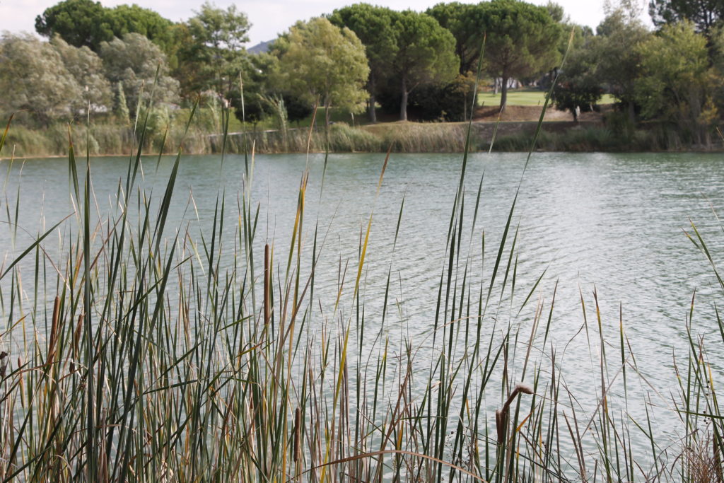 Pierre & Vancances Ferienpark Pont Royal en Provence