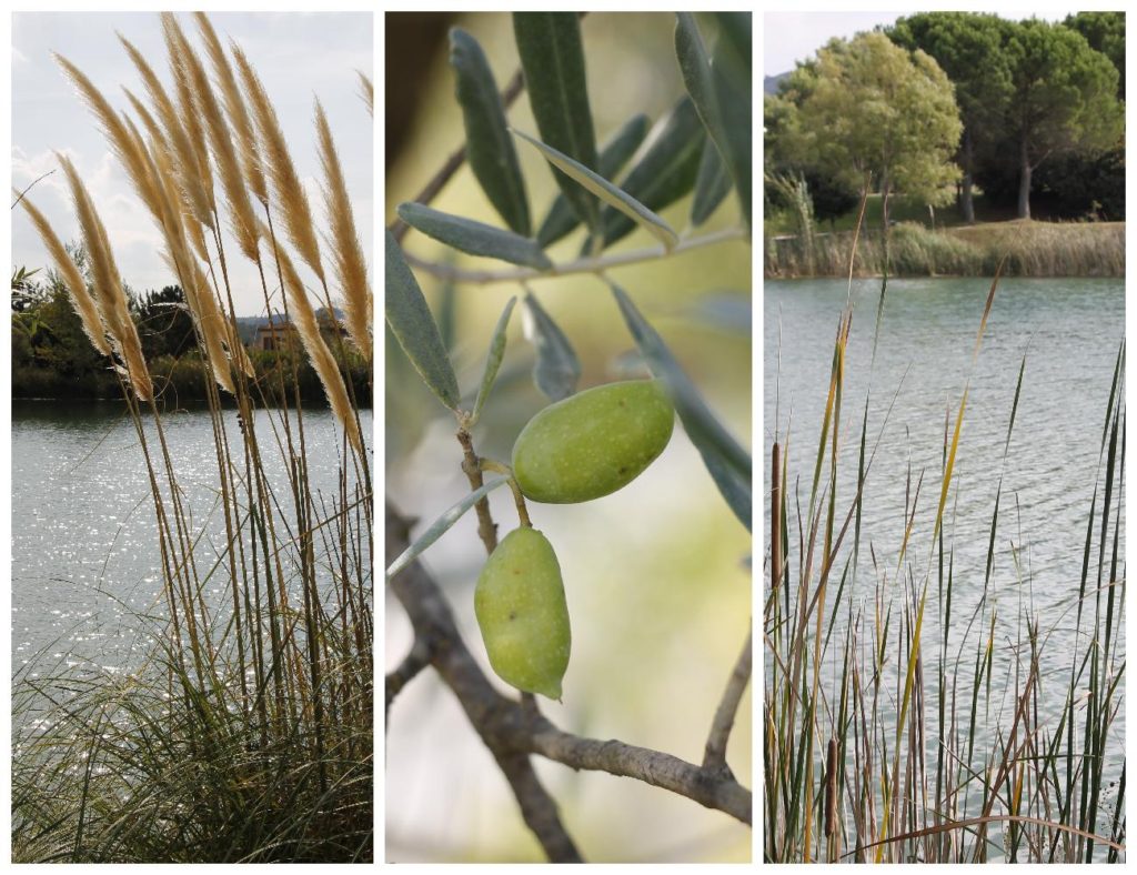 Provence Impressionen