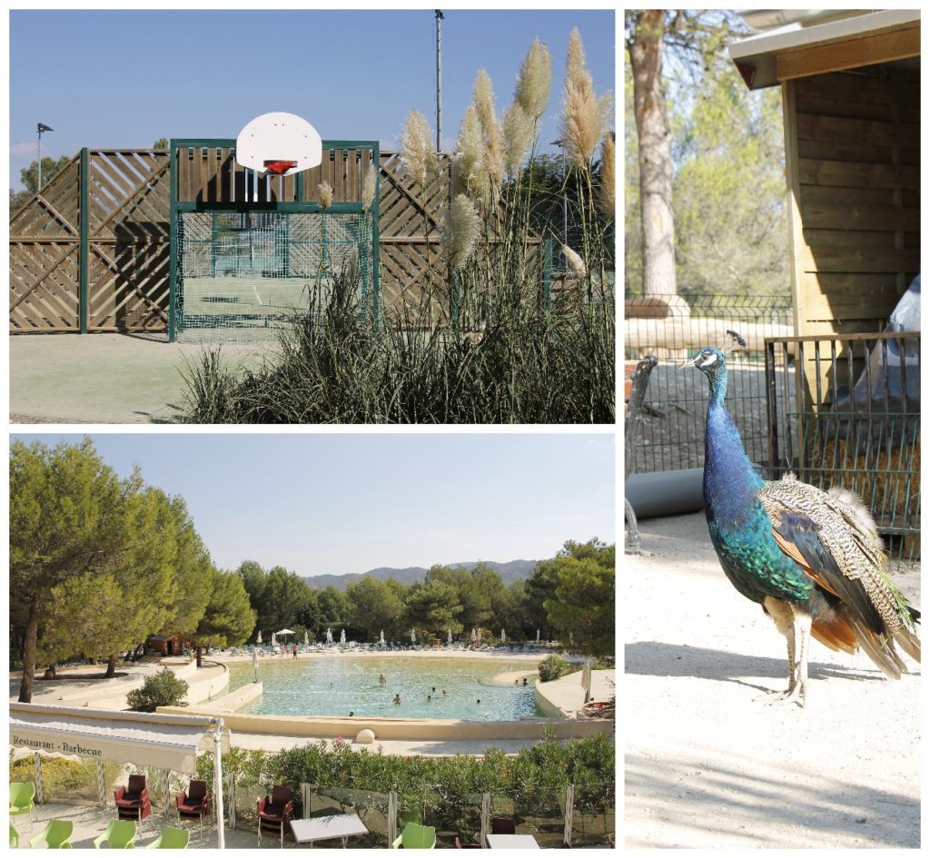 Pierre & Vancances Pont Royal en Provence Schwimmbad