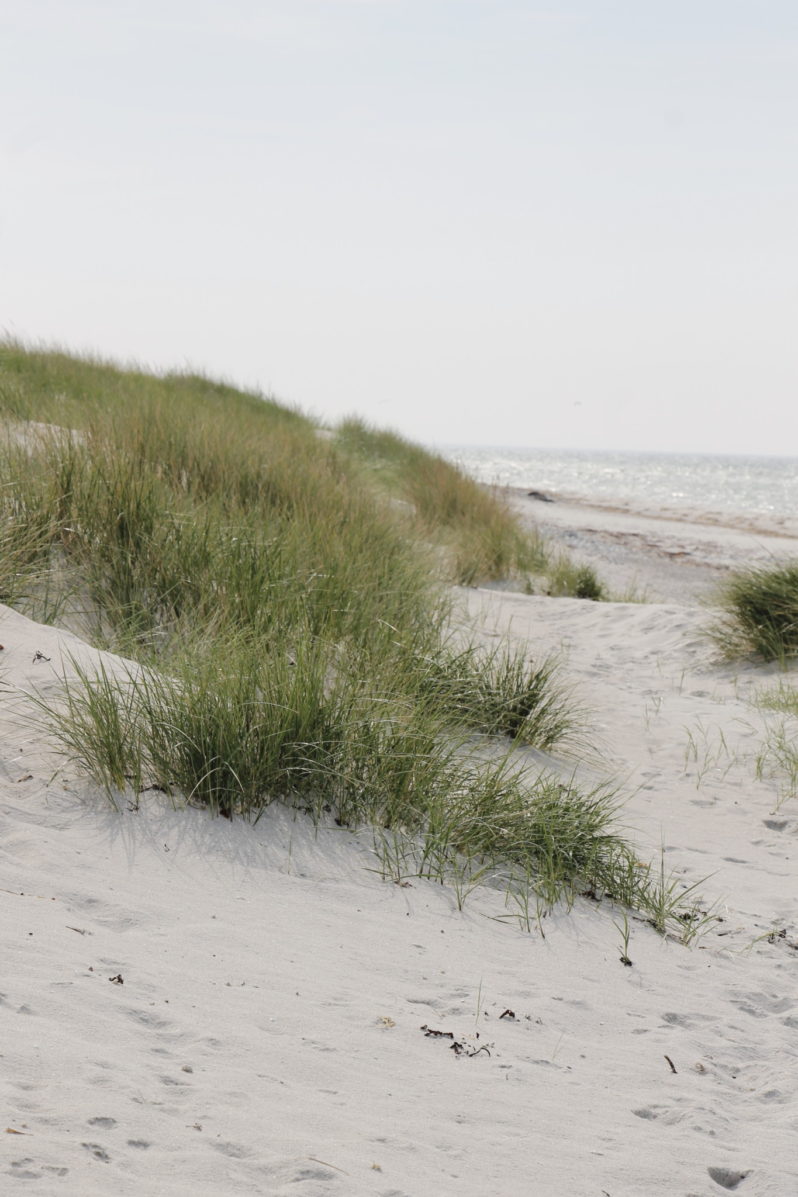 Strand Djursland