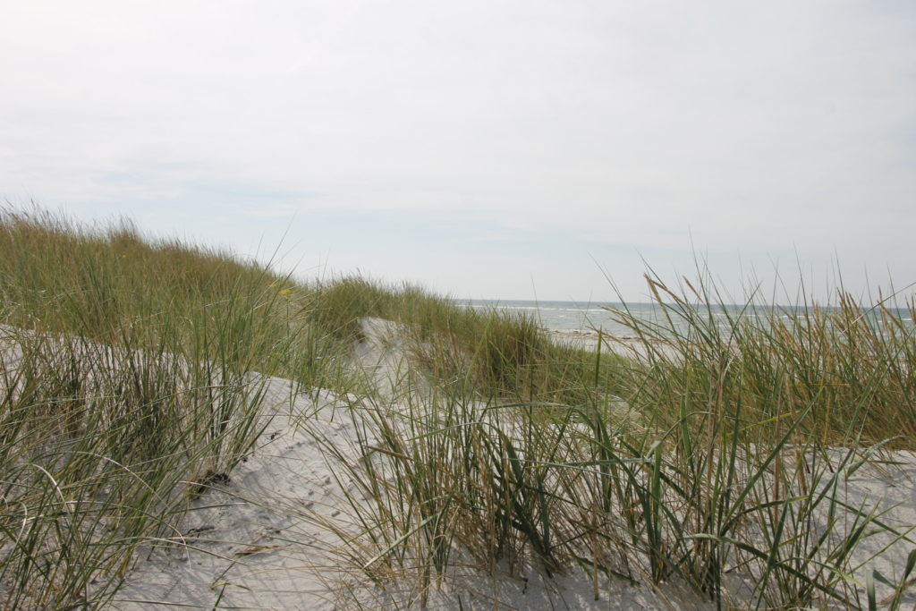 Strand Ostjütland