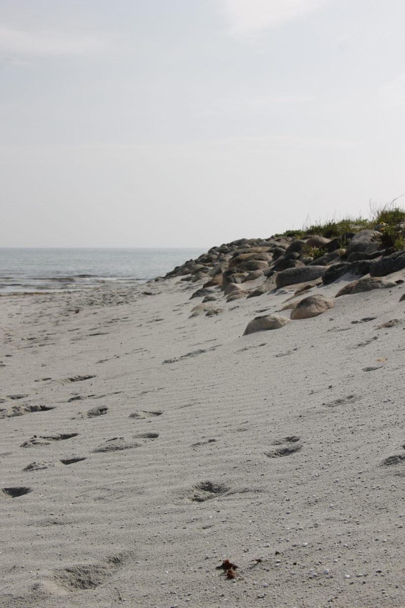 Strand dänischen Ostsee