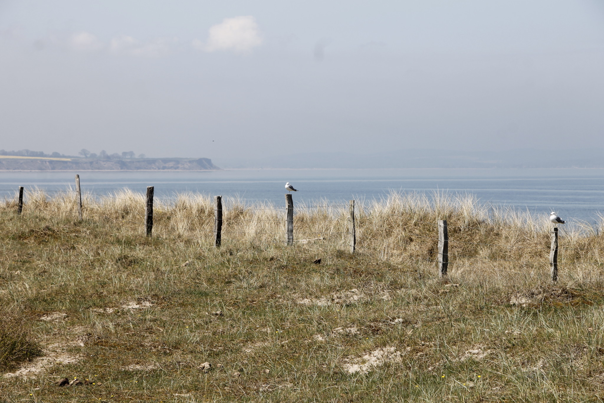 Weissenhäuser Strand Steilküste