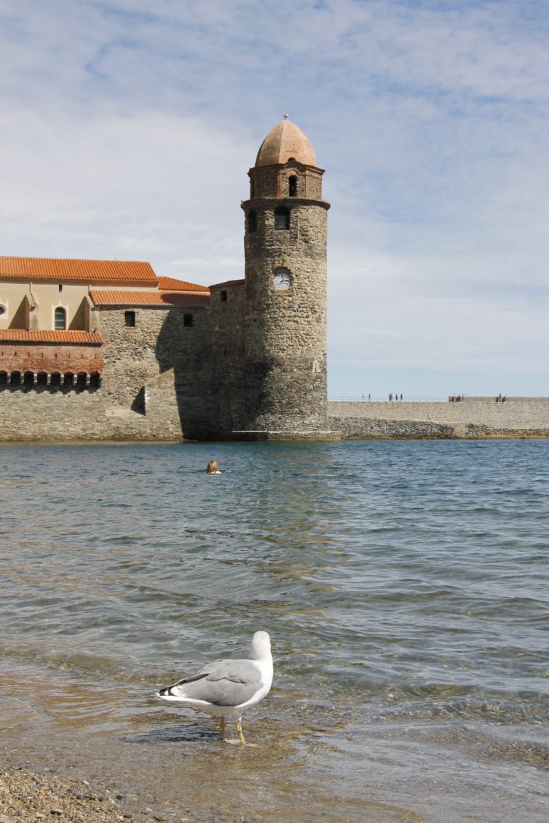 Collioure Tipps